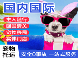 汉中城固航空物流国际宠物托运 【国